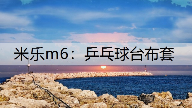 米乐m6：乒乓球台布套