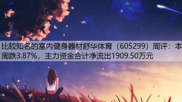 <strong>比较知名的室内健身器材舒华体育（605299）周评：本周跌3.87%，主力资金合计净流出1909.50万元</strong>