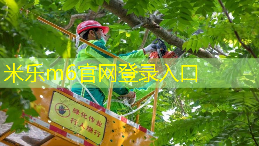 mile·米乐m6：网球拍尤尼克斯手柄材质