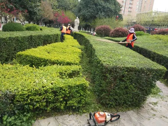 网球拍怎么区分正反手胶皮