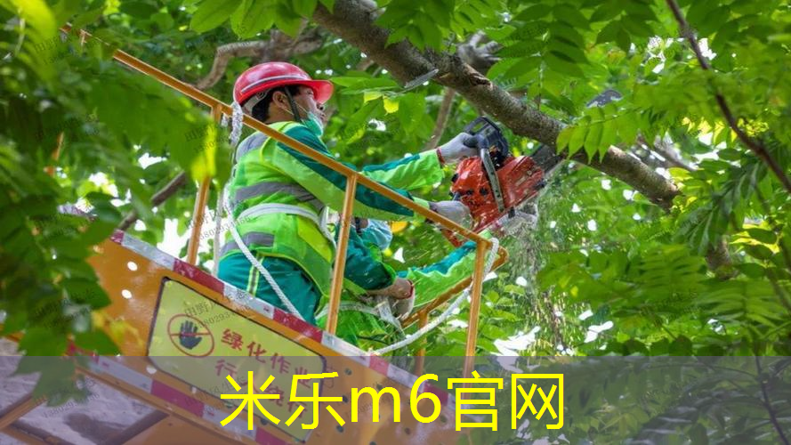 米乐m6官网登录入口：男士入门网球拍哪款好看