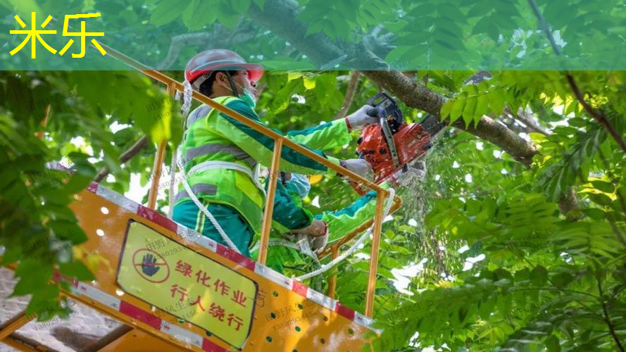 儿童网球拍大小怎么选的