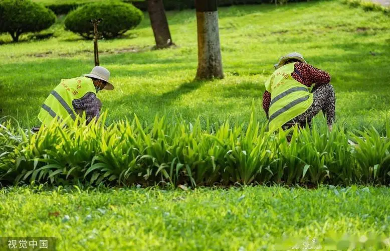 米乐m6官网登录入口：网球拍手柄自动装配机