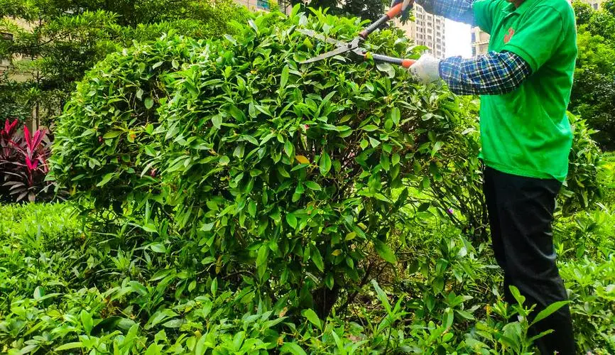 mile米乐m6官网：网球拍内手柄大小区别图解
