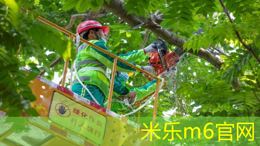 米乐m6官网：新手如何挑选合适的网球拍