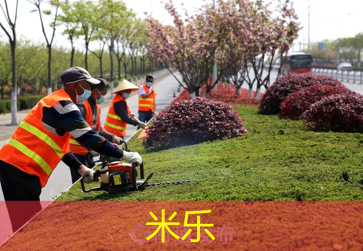 mile·米乐m6：女新手用网球拍怎么选尺寸