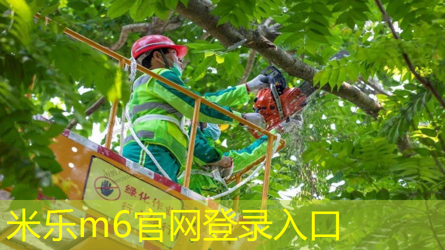 网球拍100和98的拍面