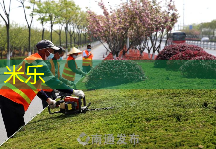mile米乐m6官网：百宝力网球拍女