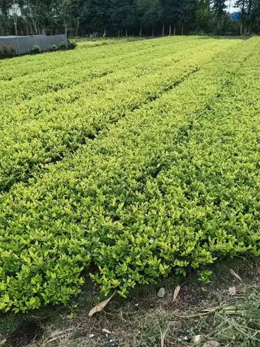 金华哪里能穿网球拍线的
