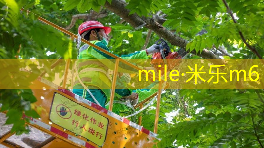 米乐m6官网：乒乓球台地胶多少米一张