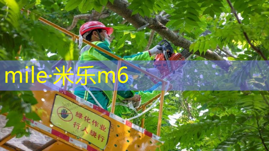 米乐m6官网：田径场爆发力无器材