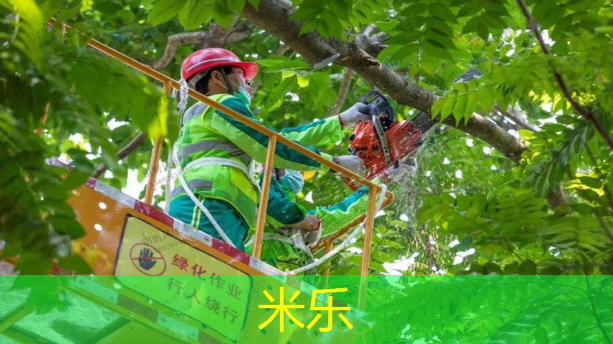 网球拍尤尼克斯手柄材质