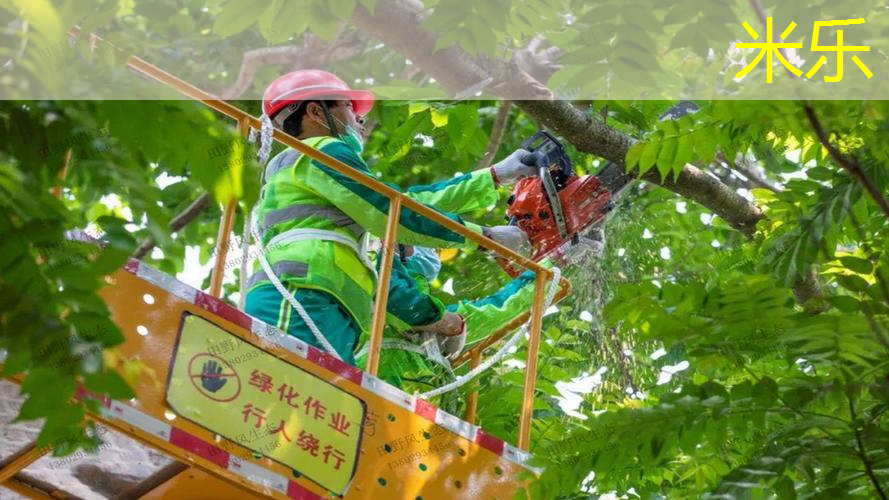 男士入门网球拍哪款好看