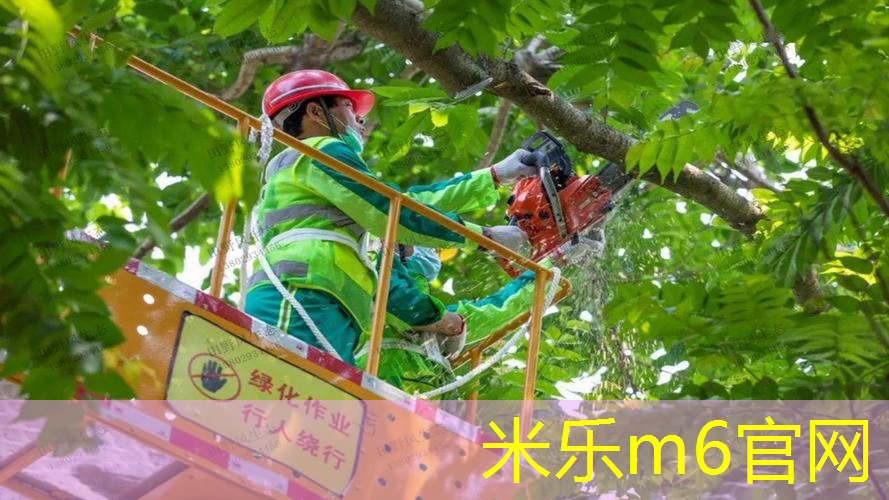 儿童网球拍大小怎么选的