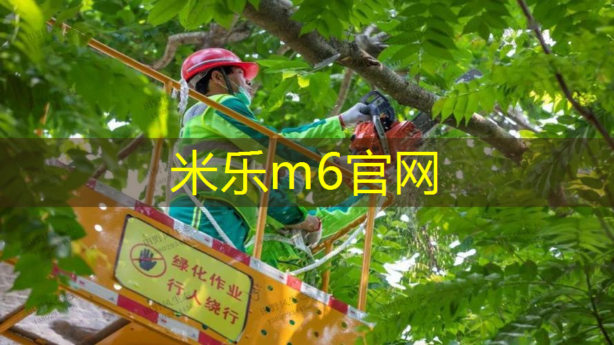 网球拍的主要材料作品介绍