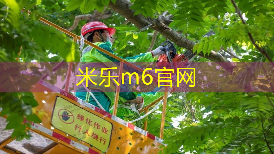 网球拍100和98的拍面