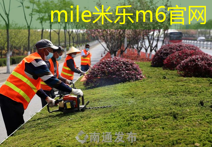 百宝力网球拍女