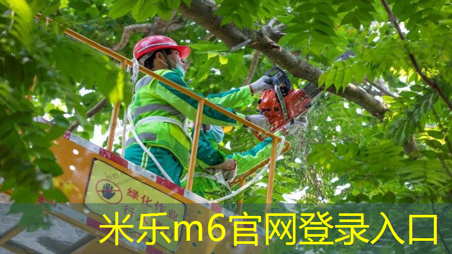 乒乓球台地胶多少米一张