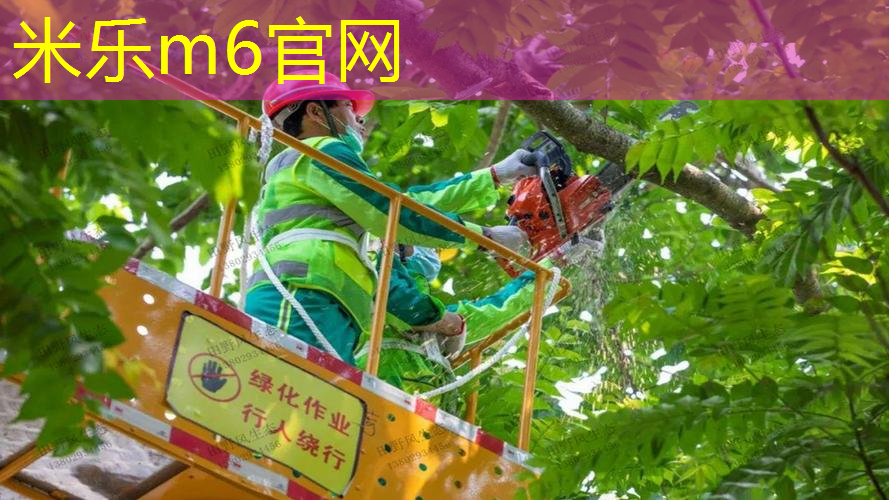 50米塑胶跑道造价多少钱