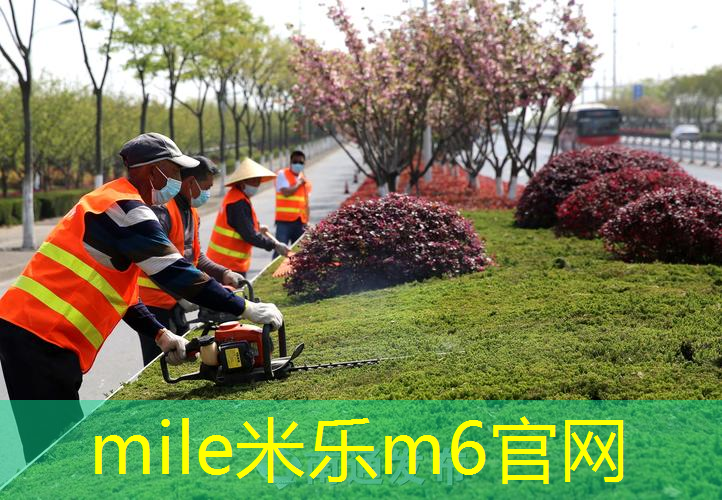又便宜又好用的乒乓球台